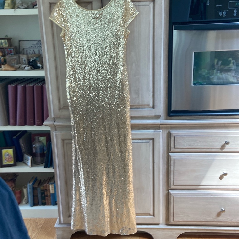 Ruiyige gold gown prom sz L euc